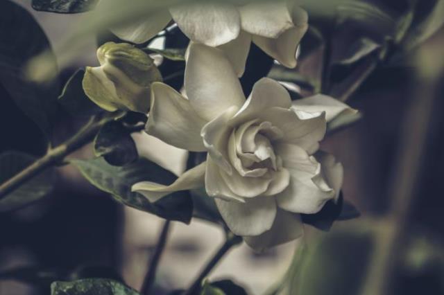 可有可无的人(我只是你可有可无的人)(4)