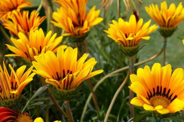 可有可无的人(我只是你可有可无的人)(6)