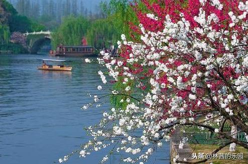 形容岁月静好诗句古诗(12首描述岁月静好的经典诗词)(6)