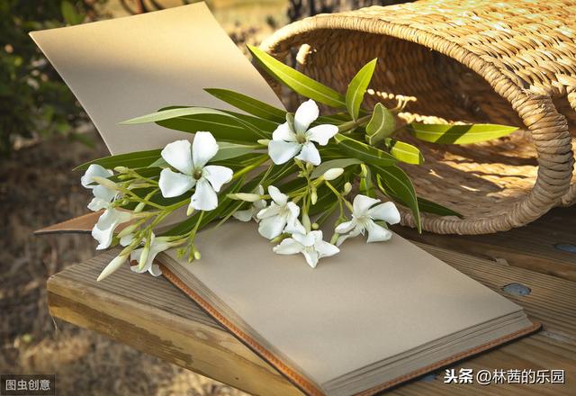 形容岁月静好诗句古诗(12首描述岁月静好的经典诗词)(1)