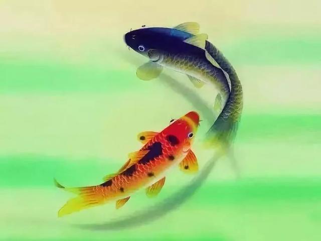 羊群效应实例大全(终于找全了蝴蝶效应)(3)