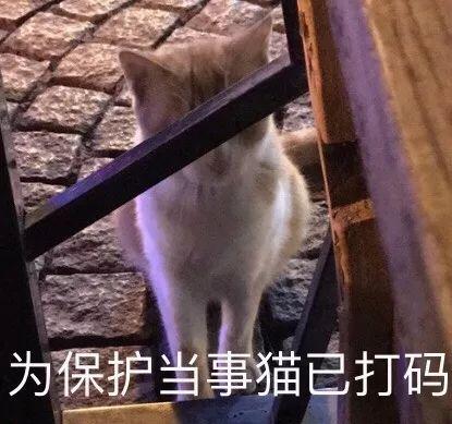 国产手机排名前十品牌好用(国产手机品牌排名)(3)