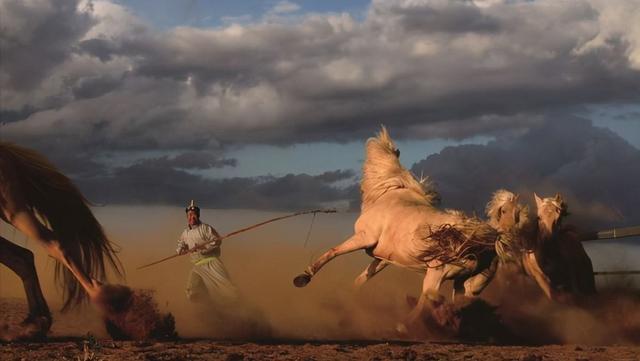 最具野心的蒙古马(蒙古马本来稀松平常)(7)