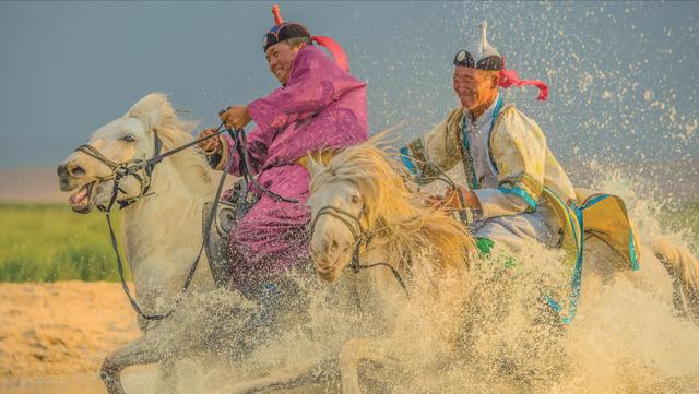 最具野心的蒙古马(蒙古马本来稀松平常)(12)