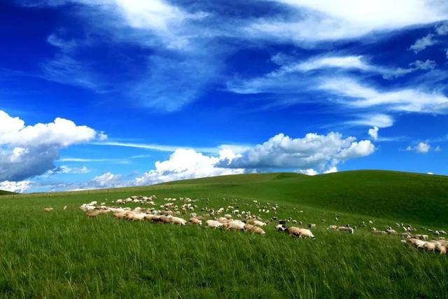 六月最佳旅行地（六月最佳旅行地清单）(5)