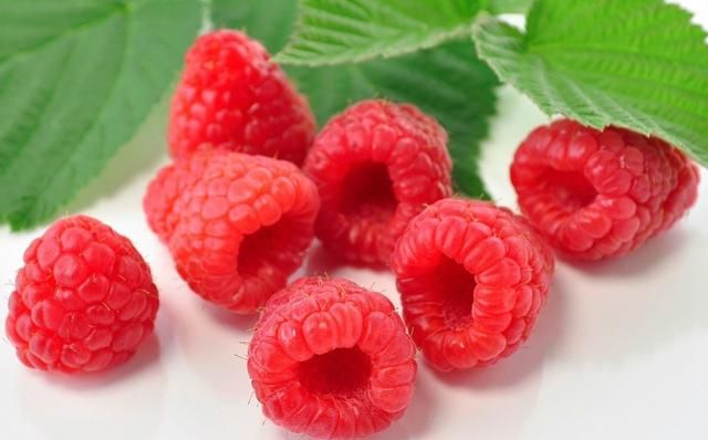 覆盆子什么时候采摘,二三百块钱一公斤的覆盆子是一种什么野果?有哪些营养价值?图1