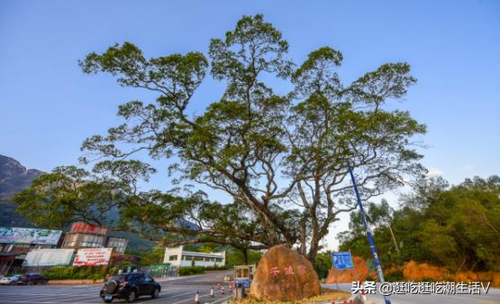 清远牛鱼嘴旅行攻略(自然和人文的结合)(5)