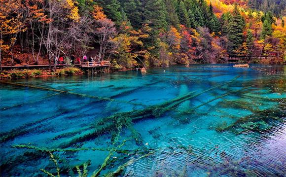 九寨沟在什么地方(九寨沟介绍)