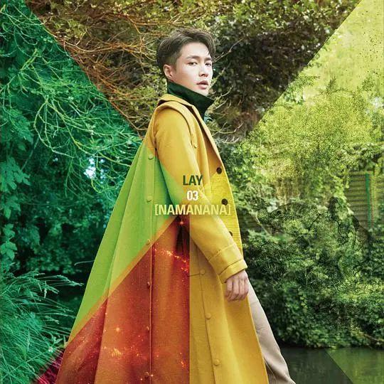 专辑张艺兴梦不落雨林(LAY张艺兴梦不落雨林)(3)