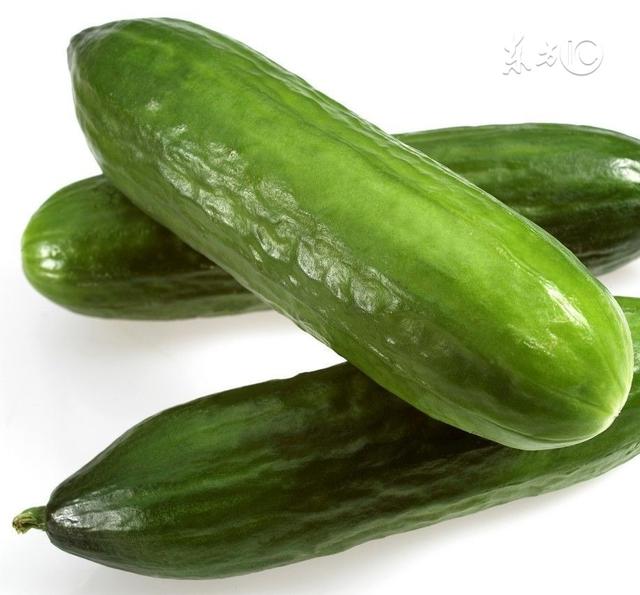 蒜泥黄瓜怎么做才好吃(可口的蒜泥黄瓜这样做)(1)