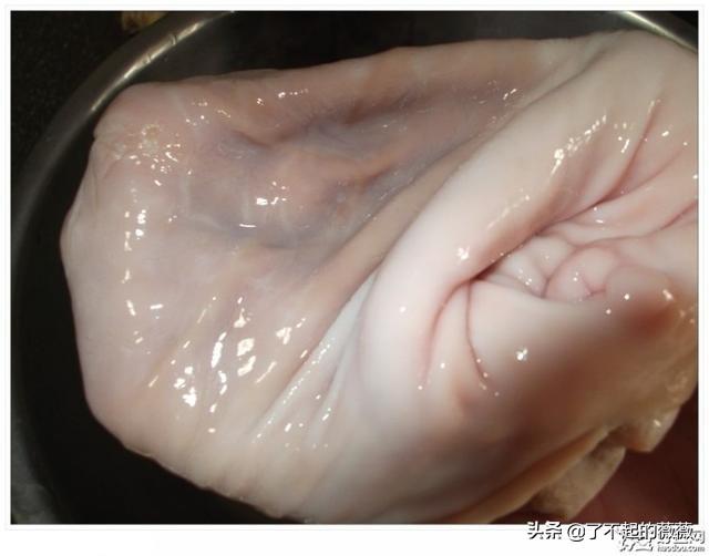 猪肚汤做法大全(猪肚汤大全)(3)