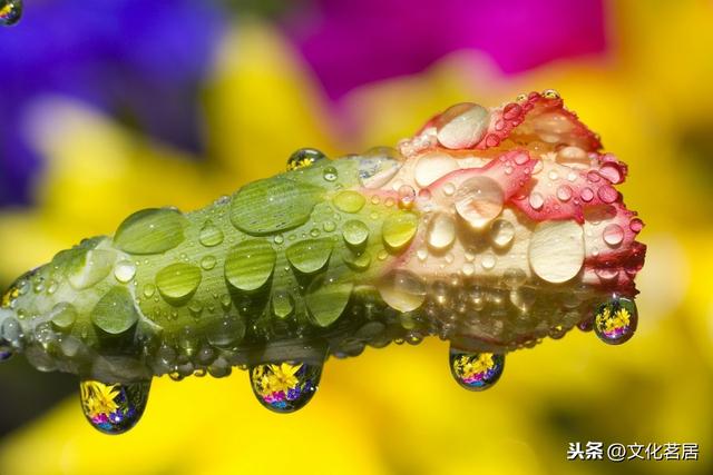 治家格言精辟句子(古人十句治家格言)(4)