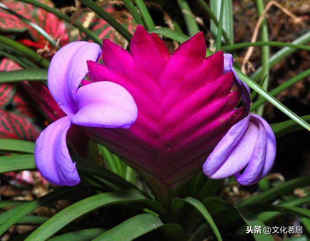 治家格言精辟句子(古人十句治家格言)(2)