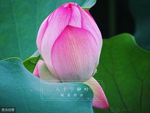 十种人生最高境界(人生最高的四种心境)(2)