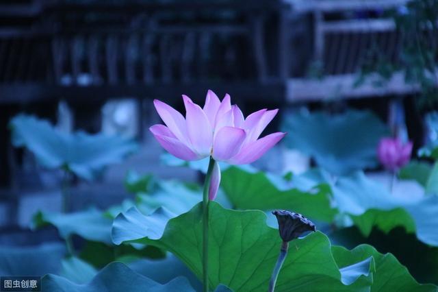 十种人生最高境界(人生最高的四种心境)(1)