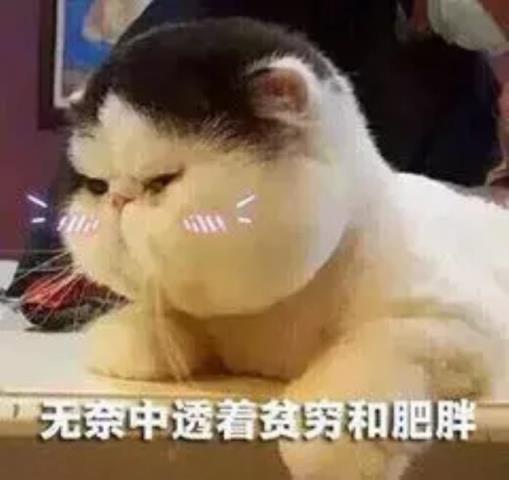 内衣尺寸对照表(中英衣服鞋码内衣尺寸对比)(2)