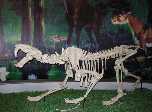 四子王旗来历(四子王旗基本概括)(2)