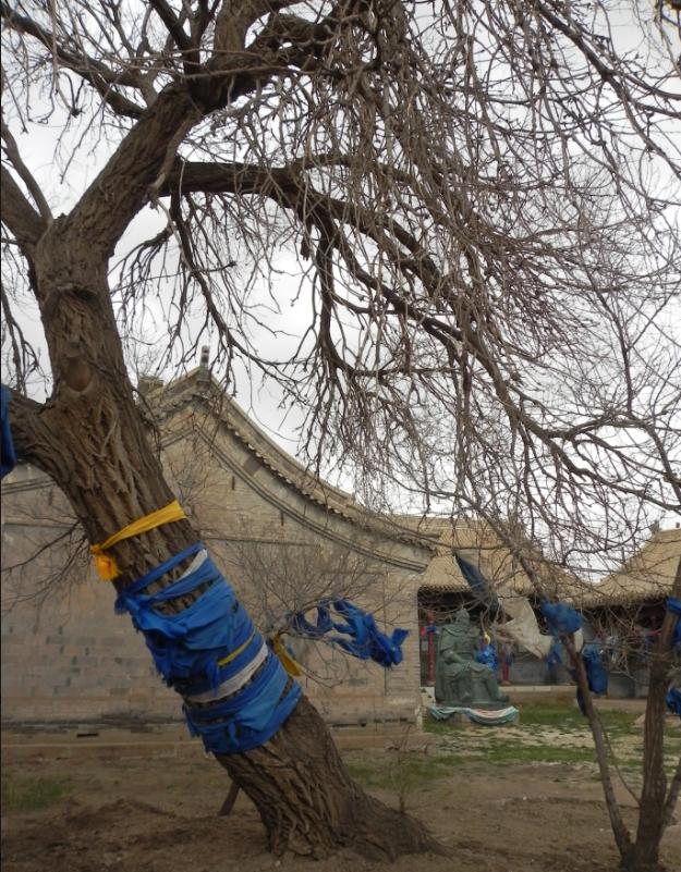 四子王旗来历(四子王旗基本概括)(3)