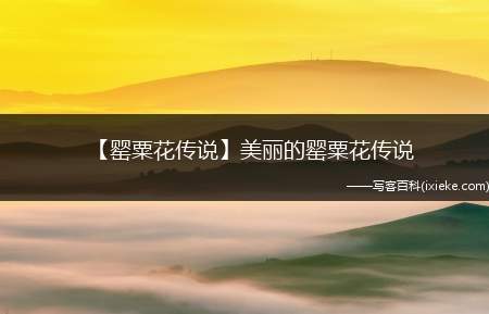 【罂粟花传说】美丽的罂粟花传说