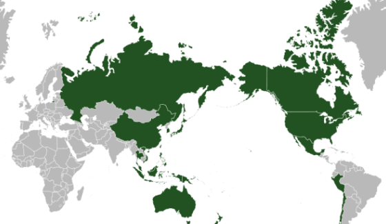 什么是亚太地区级别最高领域最广
