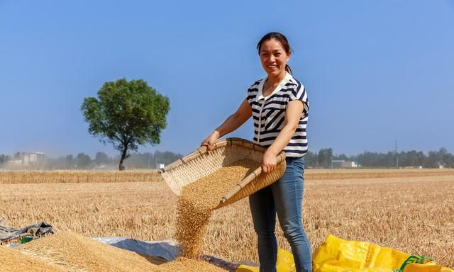 正月二十五是什么日子 ,正月二十五是什么节日?图7
