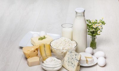 ​蛋白类制品有哪些,蛋白质的食物有哪些