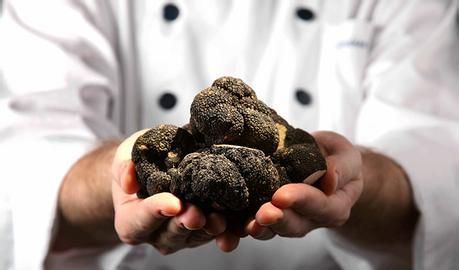 意大利松露是什么