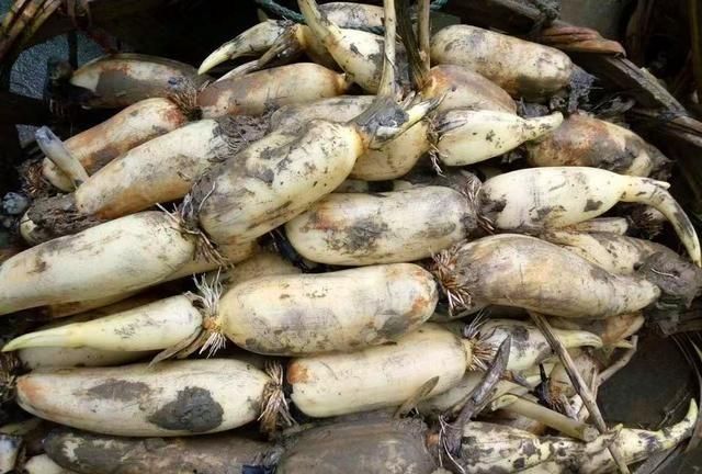 买莲藕怎么挑选,买莲藕怎么选才半份?图2