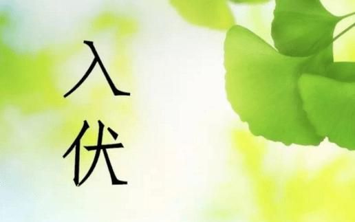 夏至下雨有什么说法,夏至后下雨有什么说法?图3