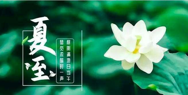 夏至后下雨有什么说法