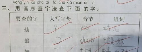 小学拼音里音序是什么，音节是什么