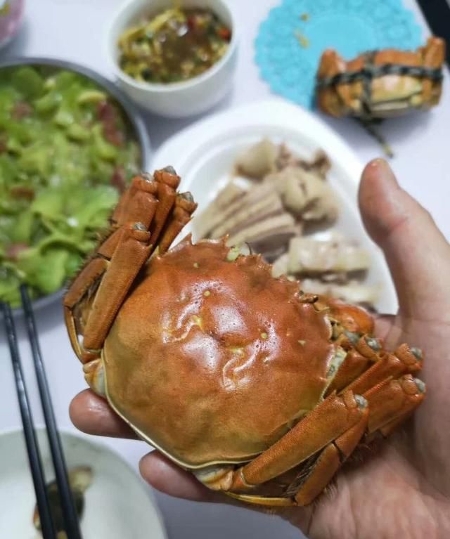 大闸蟹能不能冷冻起来保存,大闸蟹适合放冷冻还是保鲜?图1