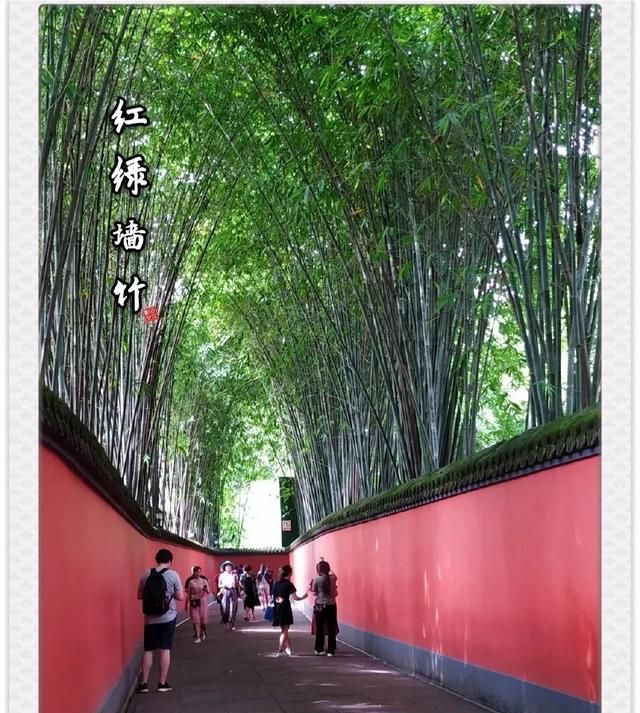 乐不思蜀意思,偏安一隅乐不思蜀是什么意思?图3