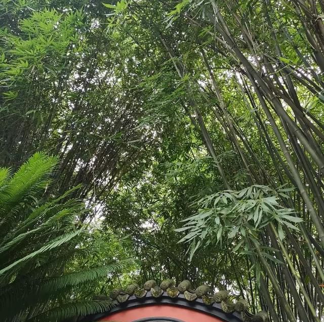 乐不思蜀意思,偏安一隅乐不思蜀是什么意思?图5