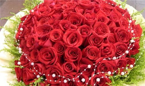 送花一般送多少朵 送玫瑰花的朵数的含义