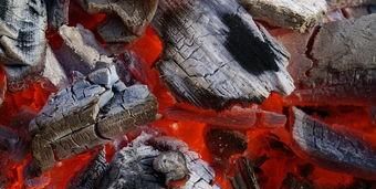 如何除去冰箱的洋葱味,冰箱里放了洋葱一股异味如何消除?图1