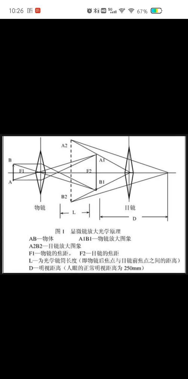 显微镜原理，光学显微镜成像原理图？图1