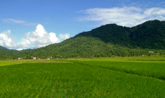 七垧地是多少亩地,一垧地等于多少亩地图3