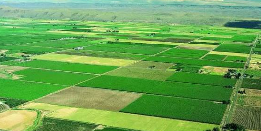 七垧地是多少亩地,一垧地等于多少亩地图2