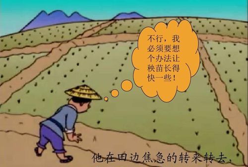 拔苗助长的故事概括