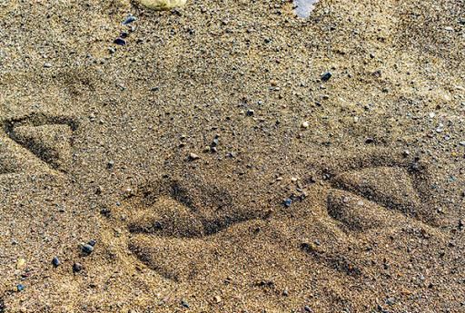 沙子形成原因是什么