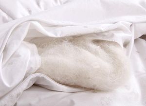 被子用的时间长有一股异味而且很潮湿,应该怎么办