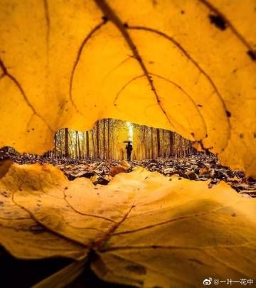 阳光并不遥远剧情介绍 阳光并不遥远演员表-第1张图片-