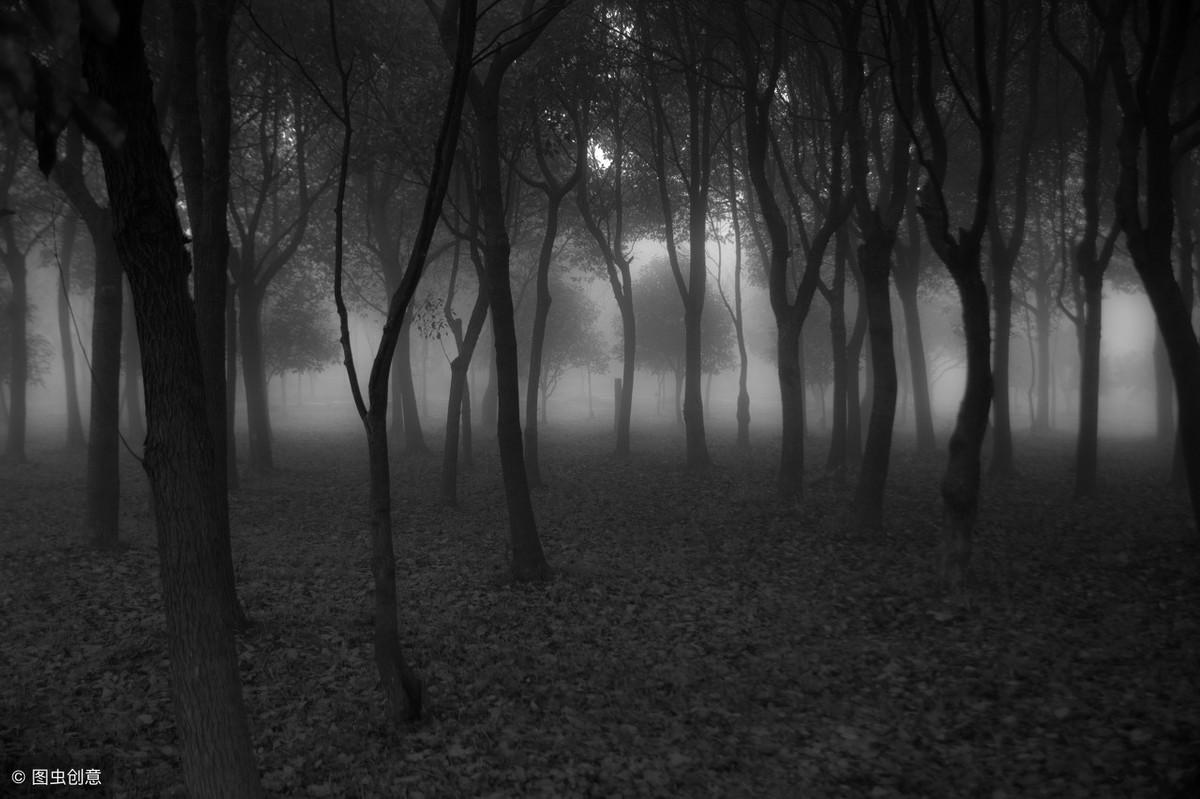 封门村1963事件是真的吗(封门村1963事件前因后果揭秘)