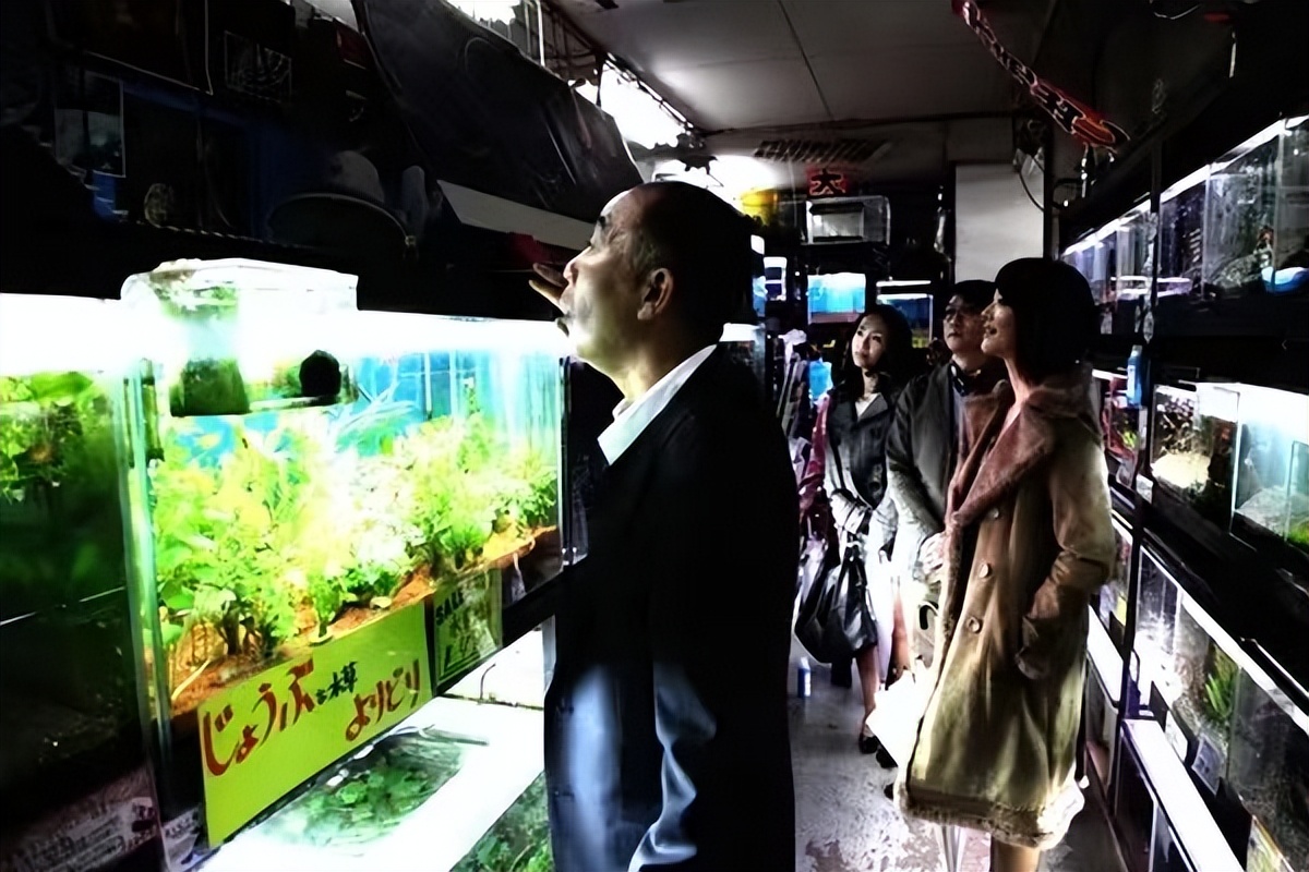 惊悚:豆瓣评分7.7《冰冷热带鱼》—盛开在灵魂深处的欲望之花!