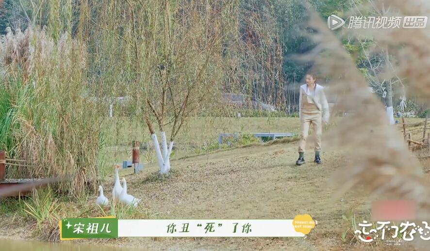 “京圈小花”宋祖儿:出道前与富二代相恋,爆红后与舒畅形同陌路