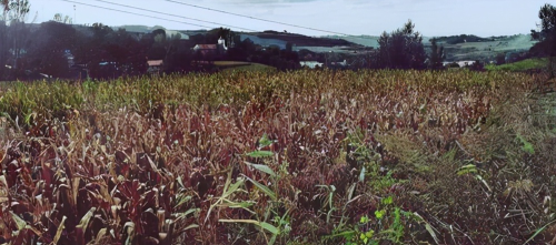 “京圈小花”宋祖儿:出道前与富二代相恋,爆红后与舒畅形同陌路