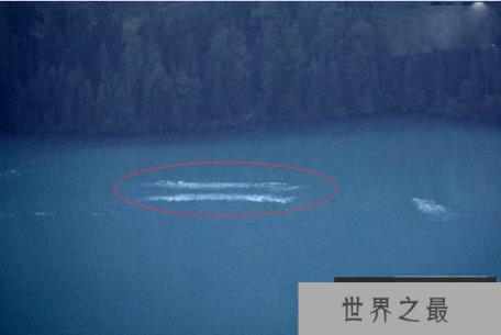 世界十大水怪的名单,瓦屋山水怪鲶鱼头鳄鱼背恐怖之极