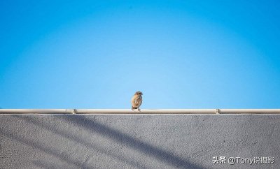 ​摄影构图，常用的九种构图方式，助你拍出更好的照片