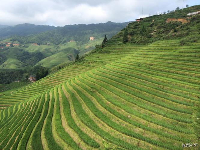 6、龙脊梯田，桂林自然博物馆等。